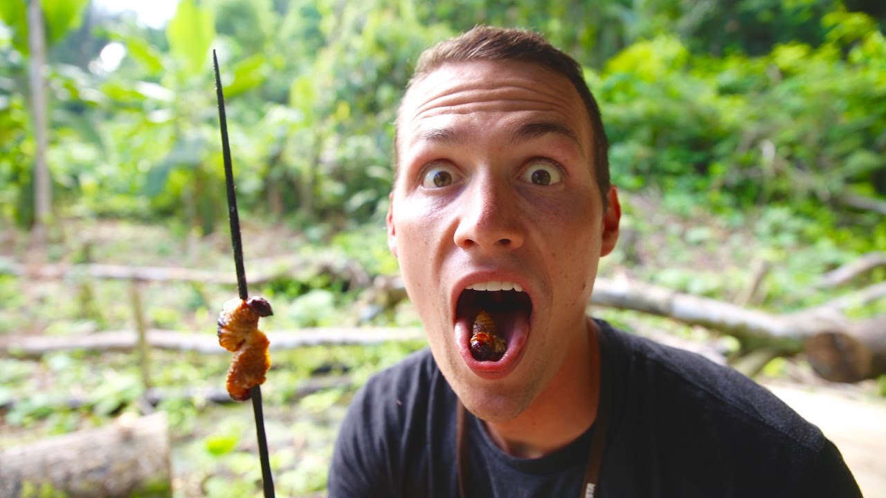 EATING GRUBS AND CATCHING ALLIGATORS | Amazon Jungle