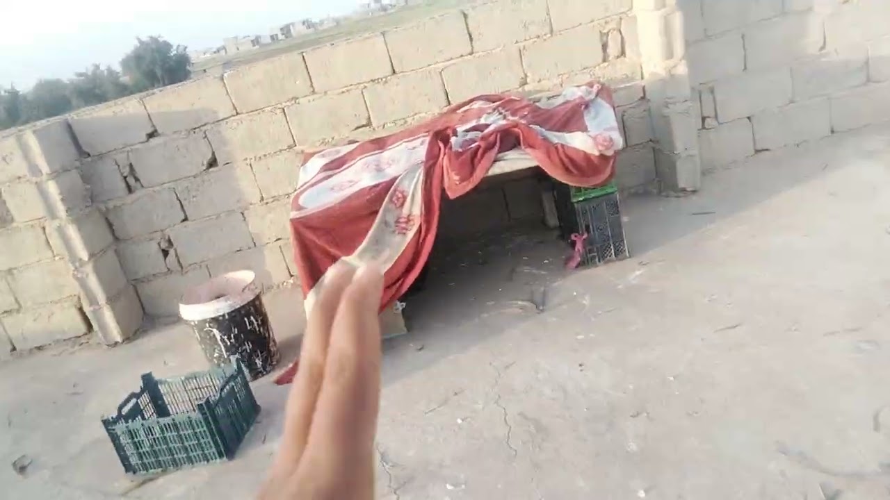 ماشاء الله اخوان صيد رهيب😄😱احمر.    وتار🫡🫡🫵🔪