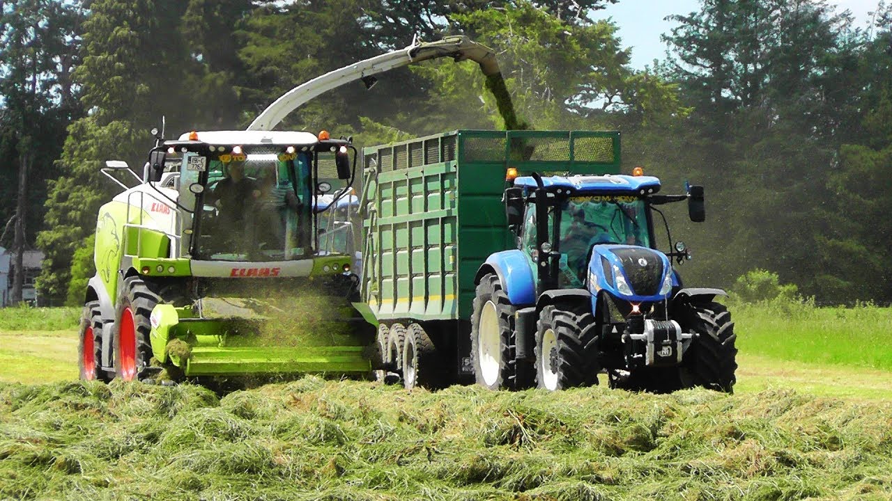Silage 2019 - New Claas Jaguar 970 At 2nd Cut
