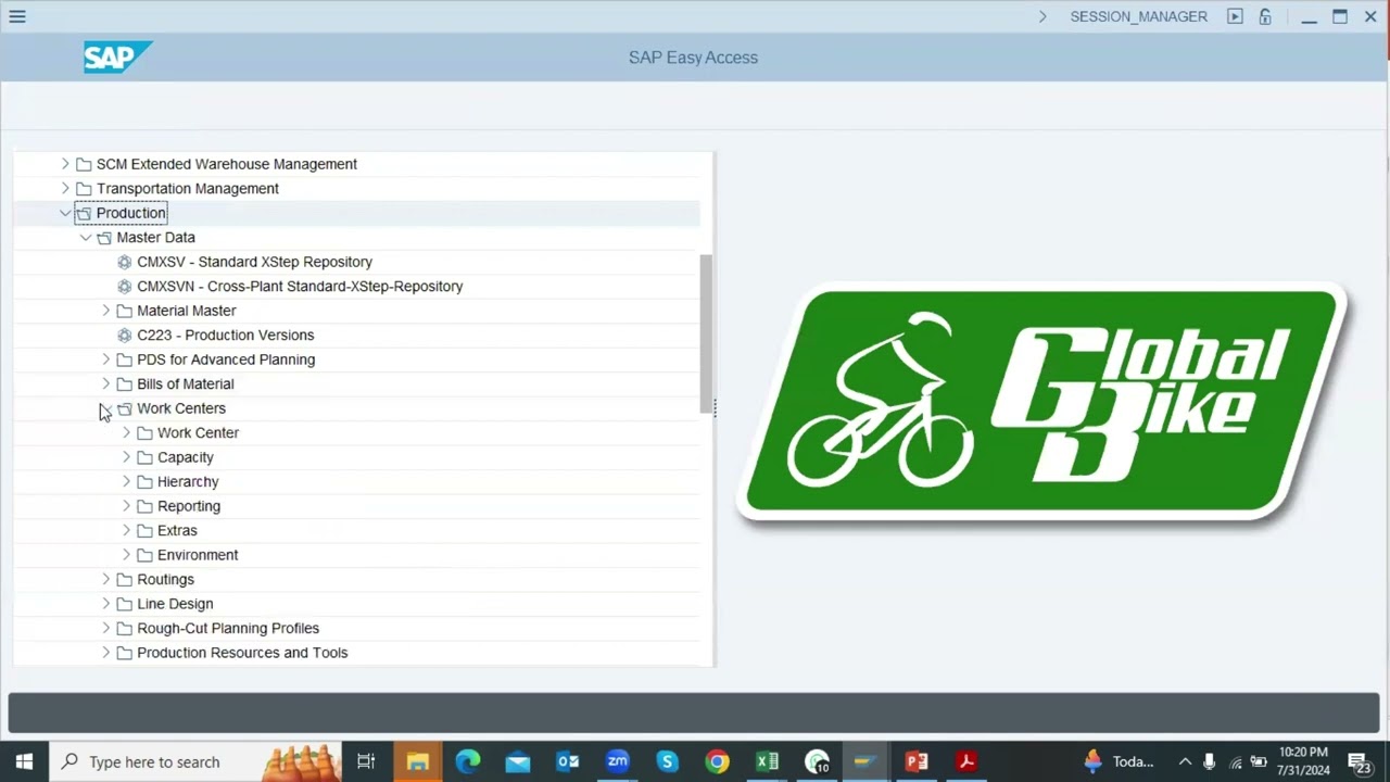 SAP Production Planning Master Data