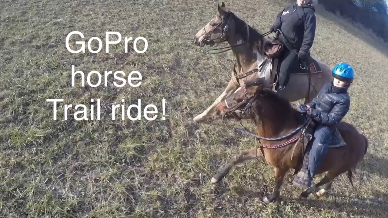 GoPro Horse Trail Ride! 