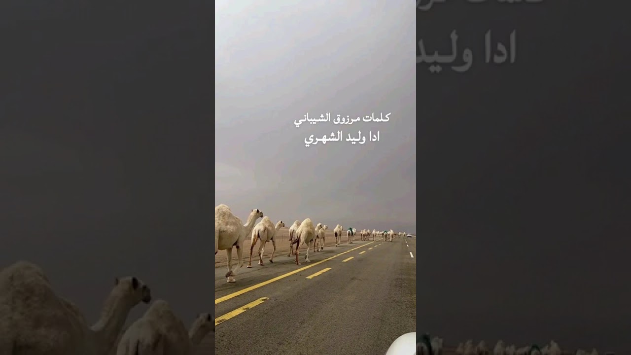 يامدرج العزبه قدم المغاتير  كلمات مرزوق الشيباني ادا وليد الشهري