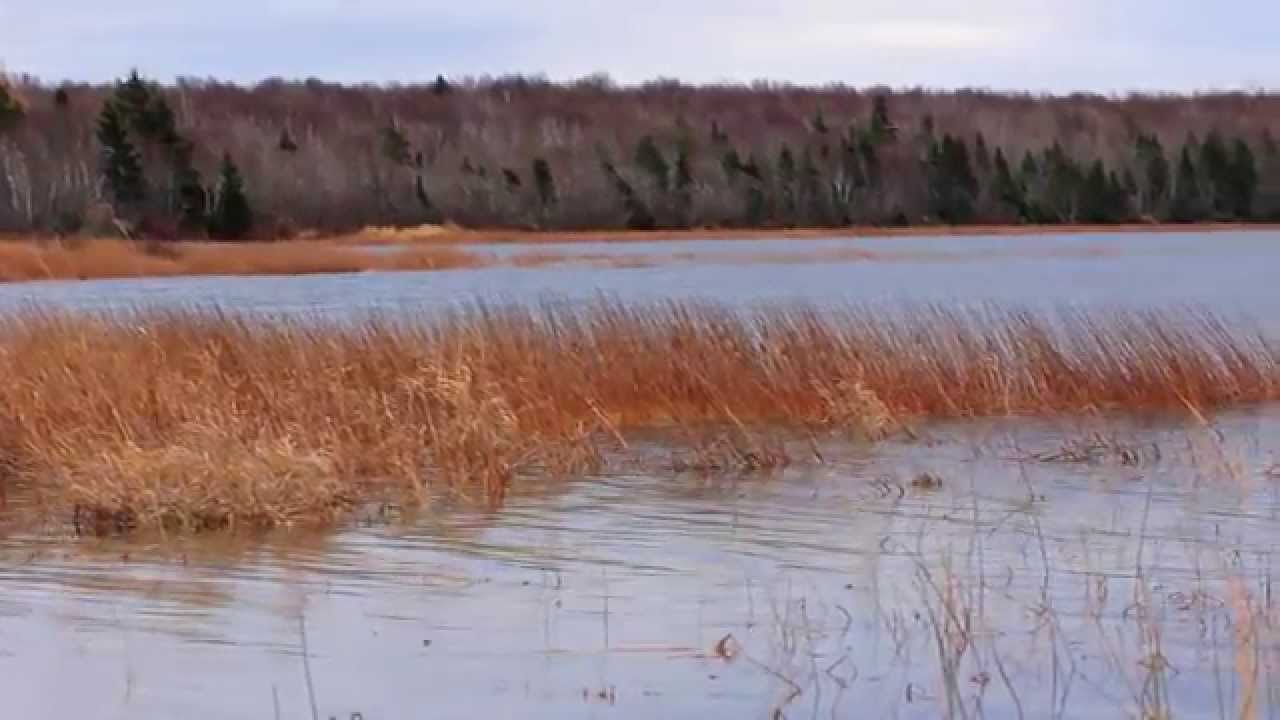 From the Source to the Tap - Source Water