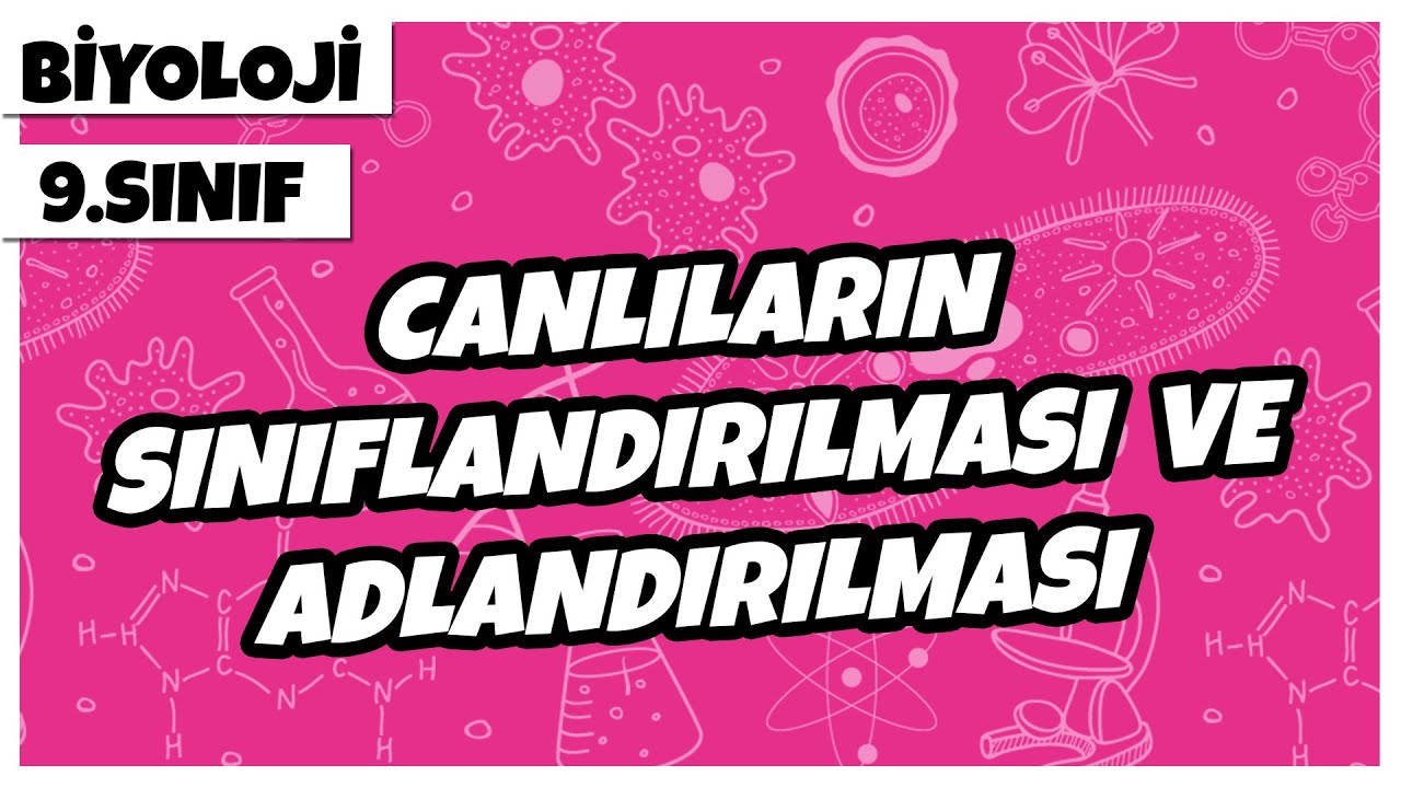 9. Sınıf Biyoloji - Canlıların Sınıflandırılması ve Adlandırılması