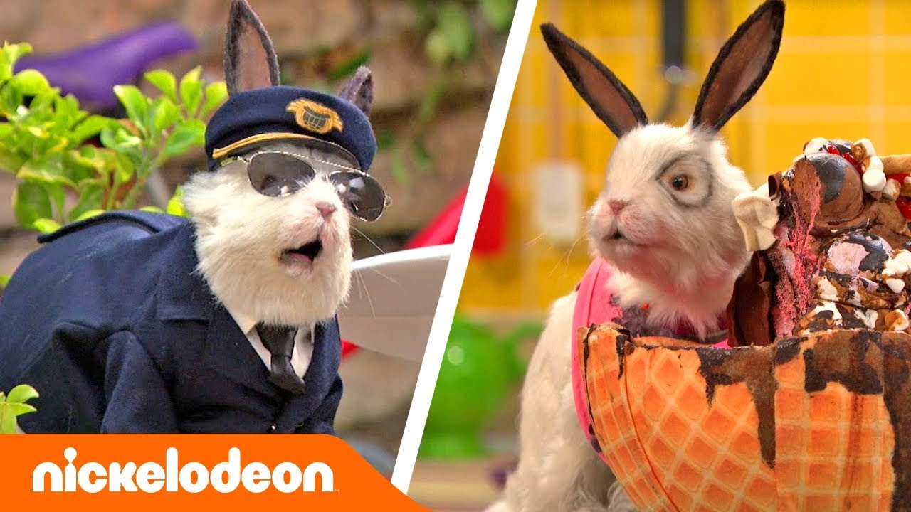 De Thundermans | Het beste van Dr. Colosso: deel 2 | Nickelodeon Nederlands