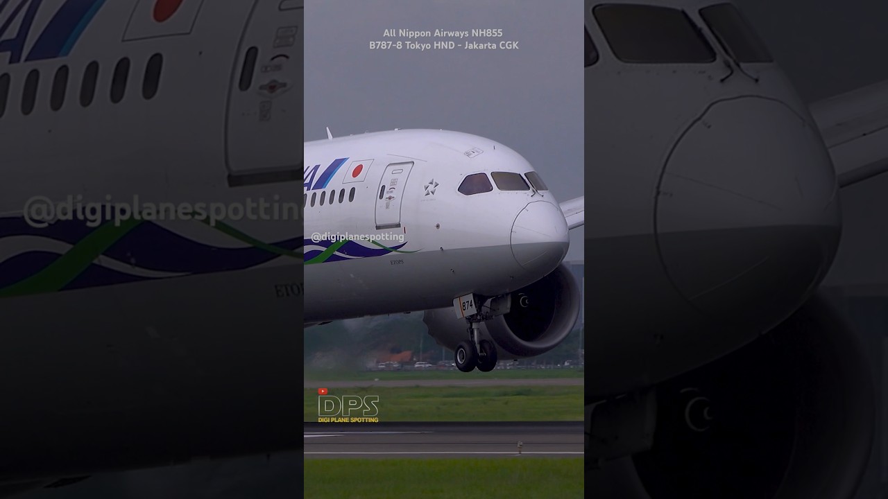 All Nippon Airways NH855 B787-8 ANA Future Promise Livery | Tokyo HND - Jakarta CGK