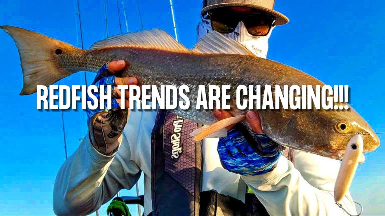 Redfish Trends Are Changing (Why Your Summer Tactics Won't Work)