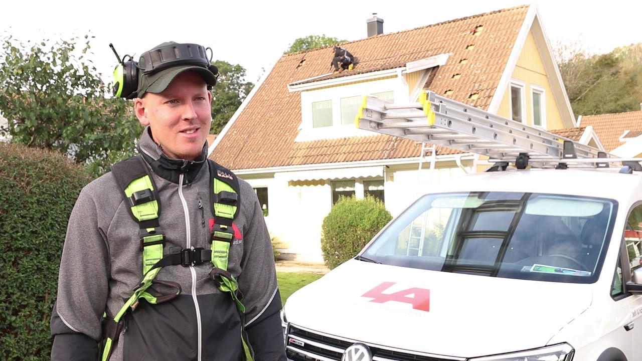 Så vårdar och förlänger du takets livslängd