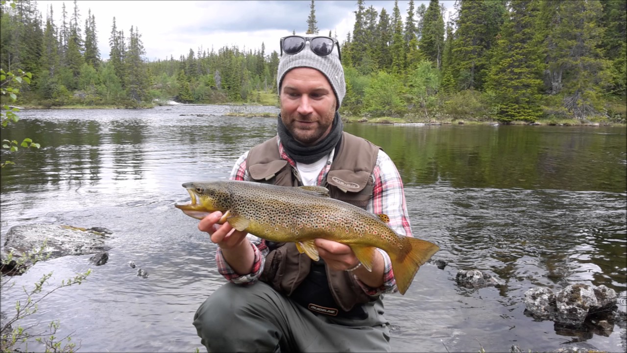 Troutfishing at Frostviken Sweden 2016