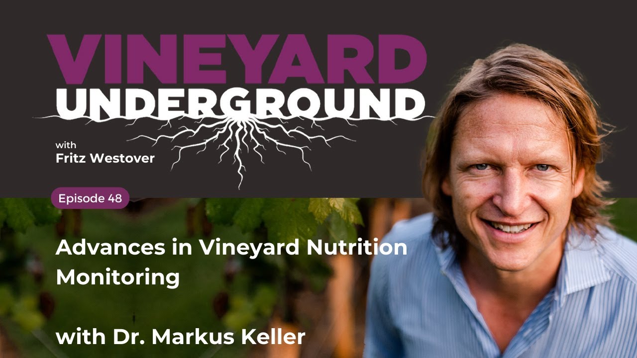 VU Ep48: Advances in Vineyard Nutrition Monitoring w/ Dr. Markus Keller #viticulture #podcast