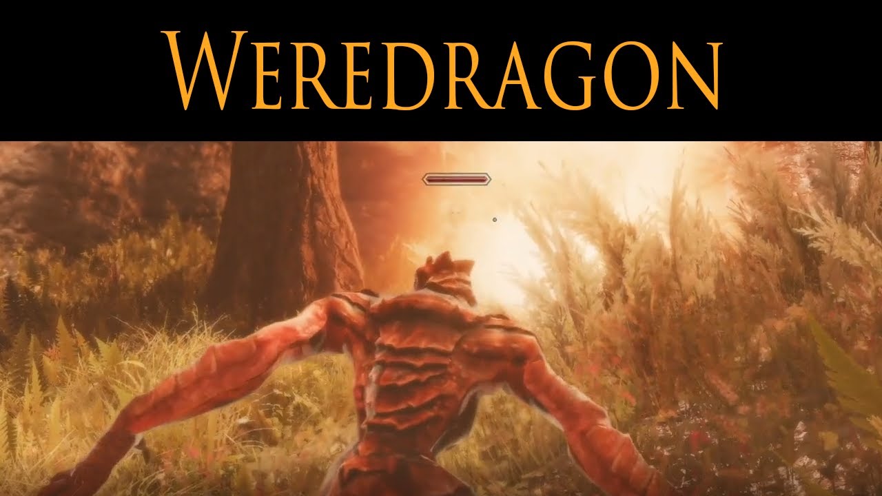 Become a WEREDRAGON! Another SHAPESHIFTING mod. Skyrim Mod Showcase.