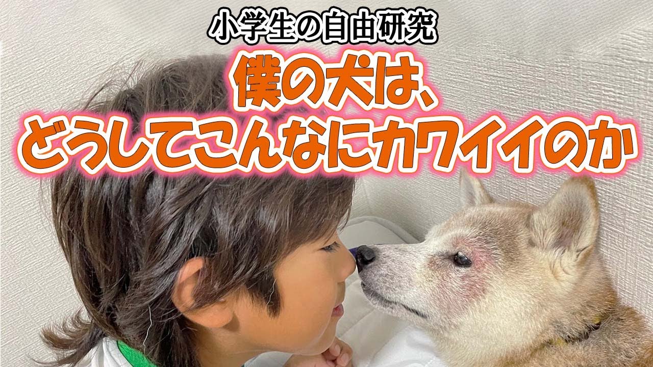 【小2自由研究に感動】愛犬への愛情が胸を打つ