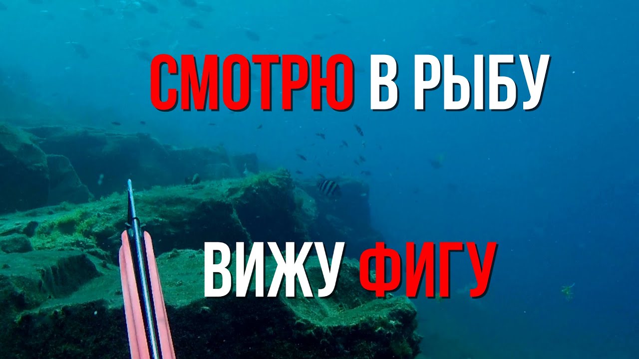 Чего ждать от подводной охоты на Тенерифе?