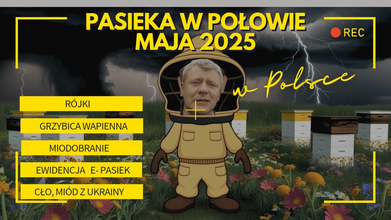 JAK Z MIODEM? GRZYBICA WAPIENNA, RÓJKI, PZP W MINISTERSTWIE, MIÓD Z UKRAINY BEZ CŁA?