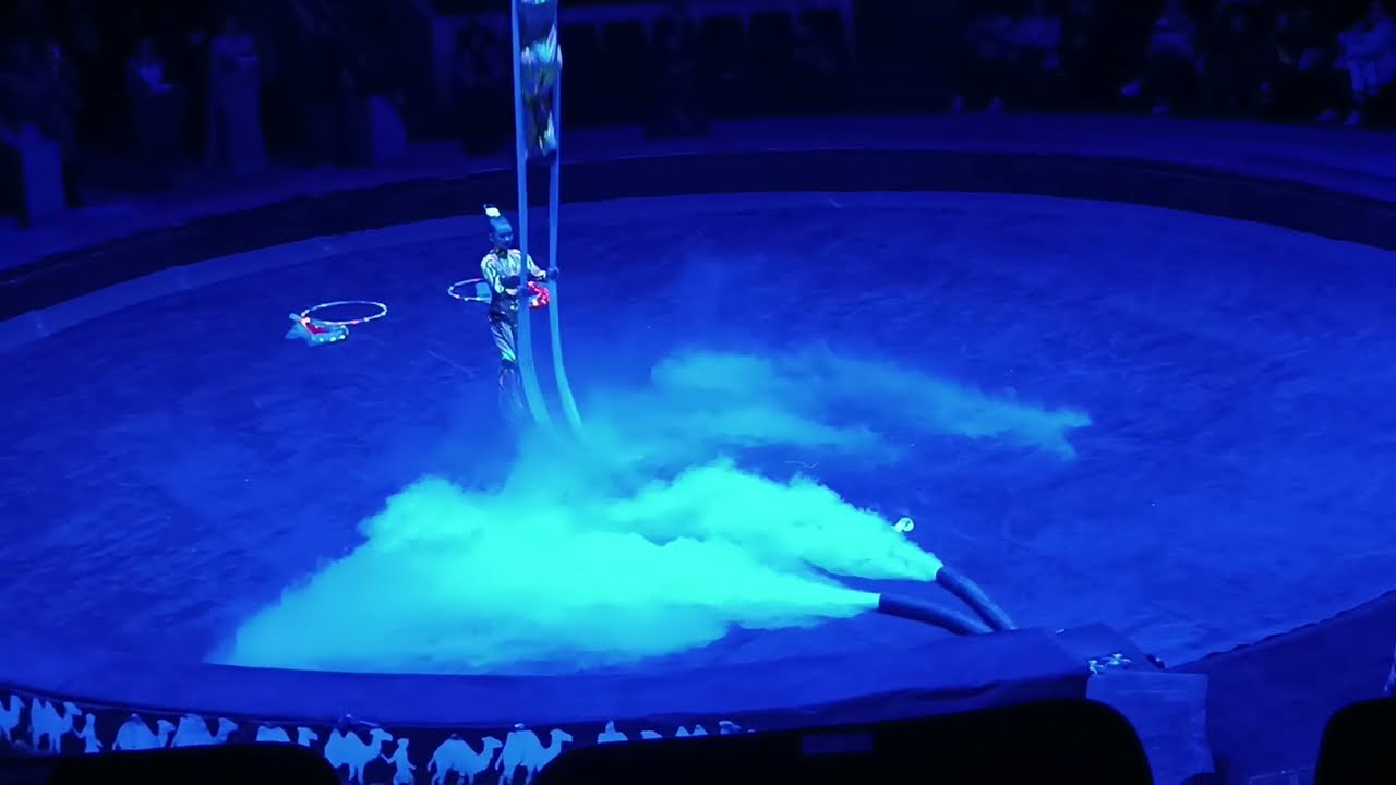 SİRK 🎪 TASHKENT #sirk