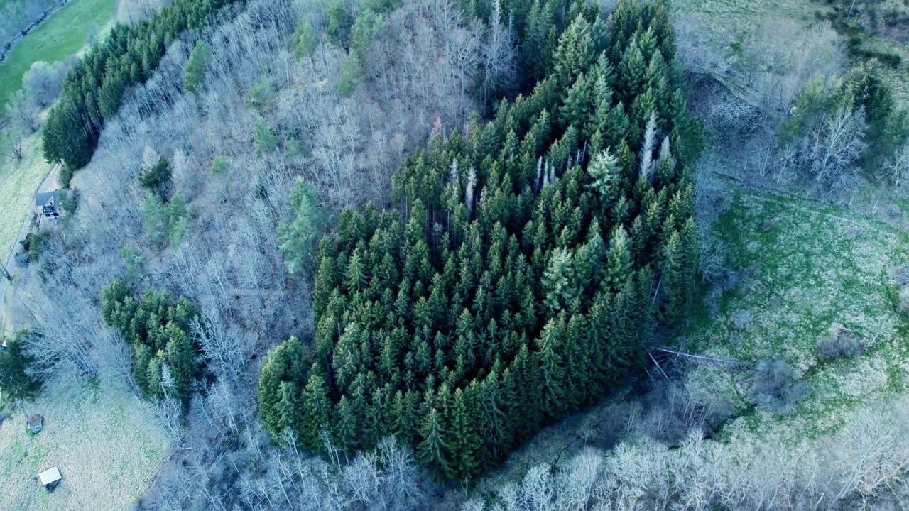 Peaceful Piano & Nature 4K 🌿 Find Inner Calm