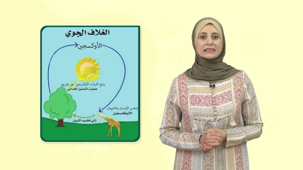 العلوم والحياة 6 - فصل 2 | عملية التنفس في النبات
