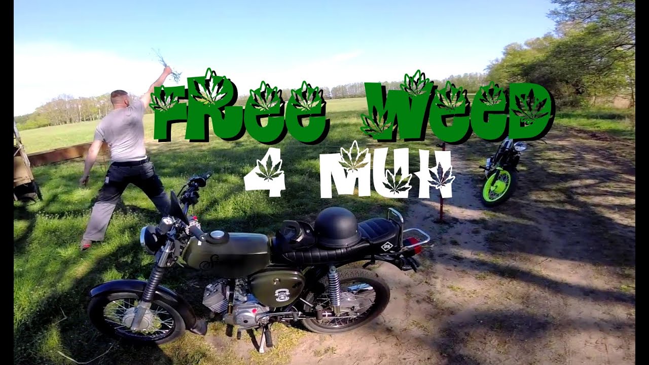 Freies Gras f&uuml;r alle | Wald und Wiesenmoped | Simson S51