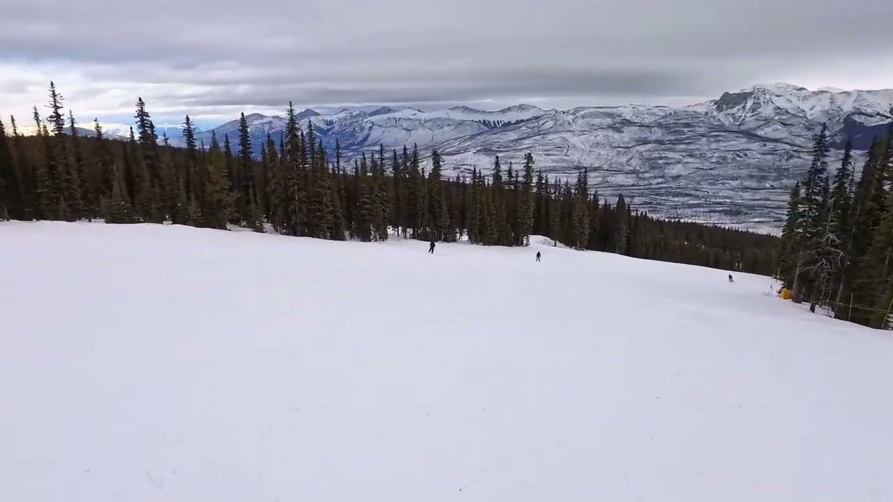Skiing Marmot Basin: Tranquilizer and Dromedary