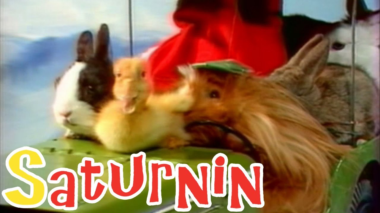 Saturnin - SOS Saturnin épisode 4