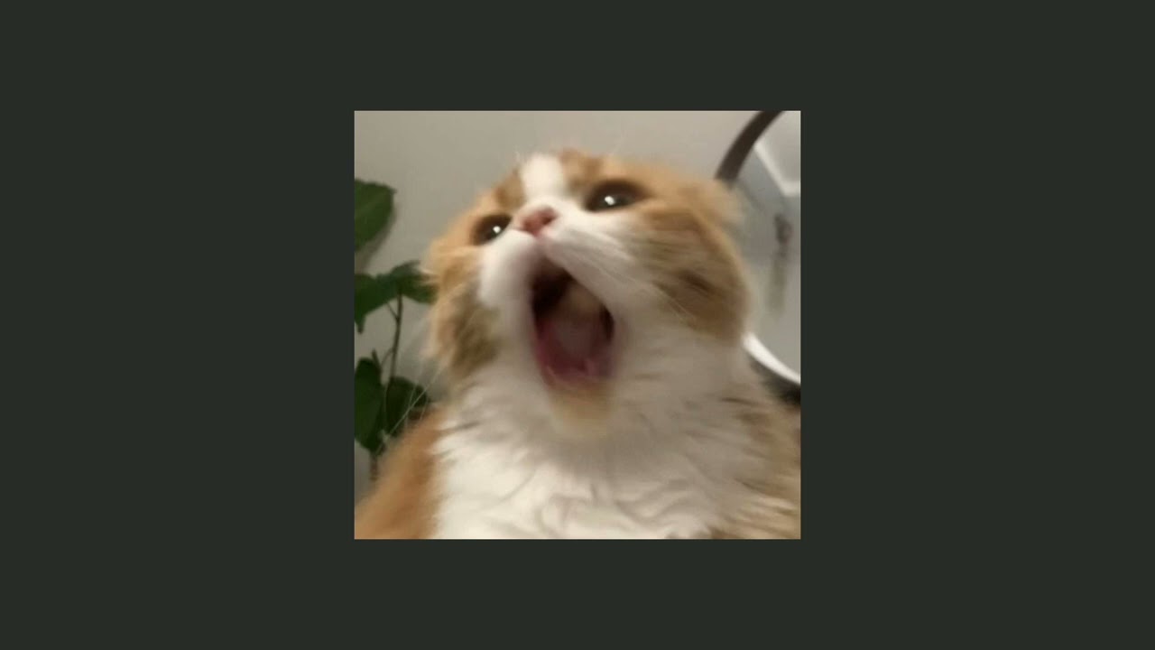 katy perry - did somebody say just eat [sped up]