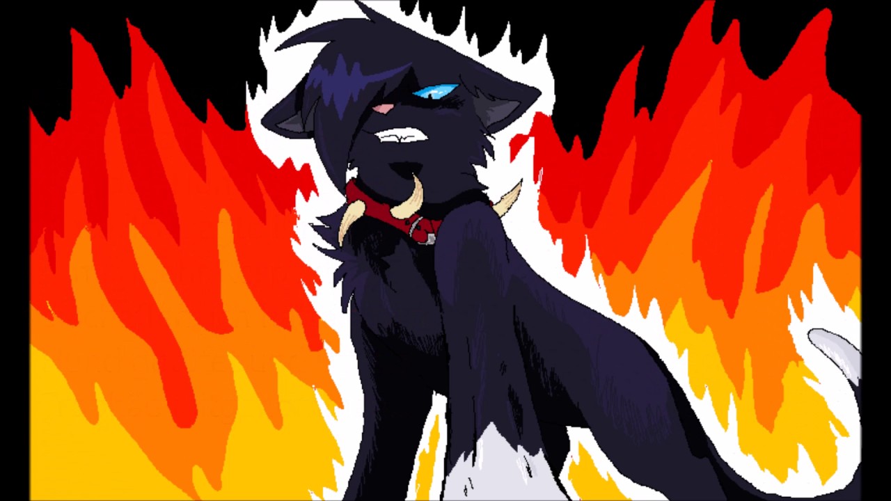 Warrior Cats Geißels Geschichte