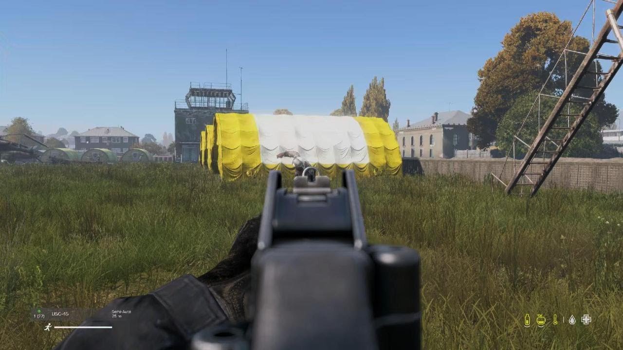 DayZ_20260218131057