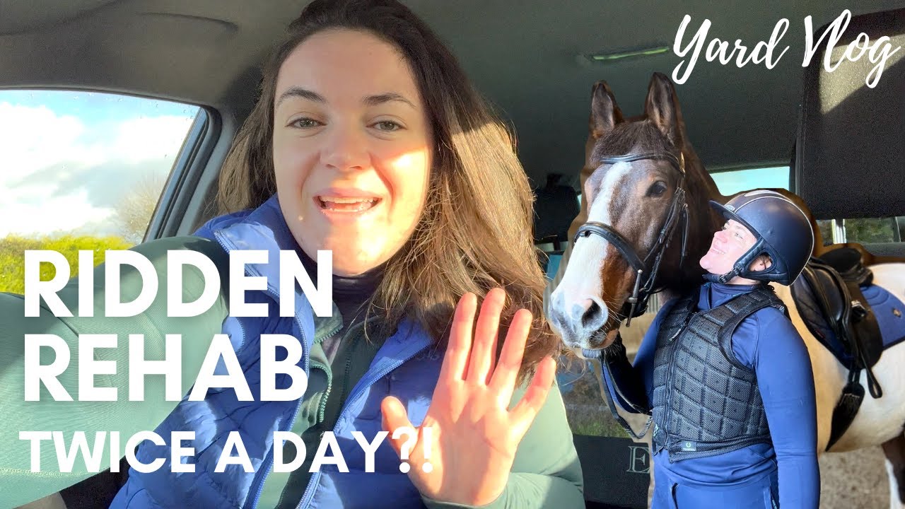 Riding Woody Twice a Day?! Equine Rehab Vlog | Riding With Rhi