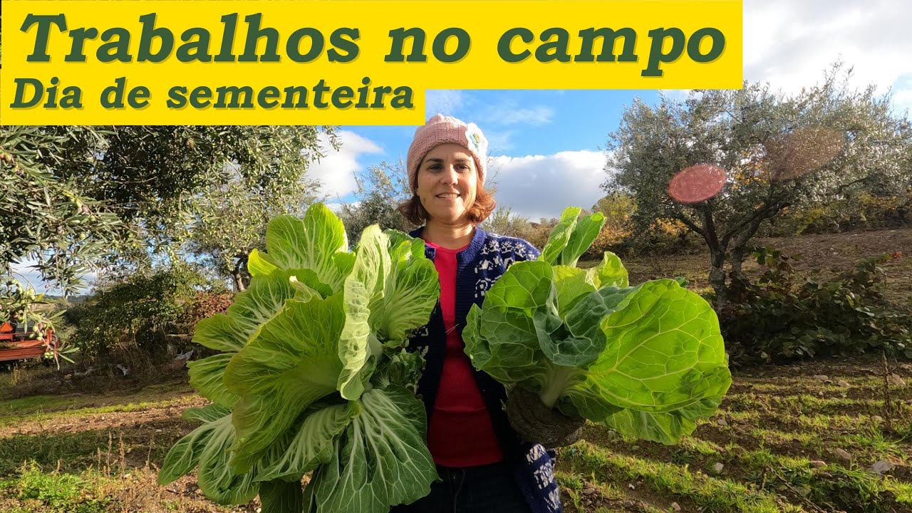 Dia de sementeira, trabalhos no campo