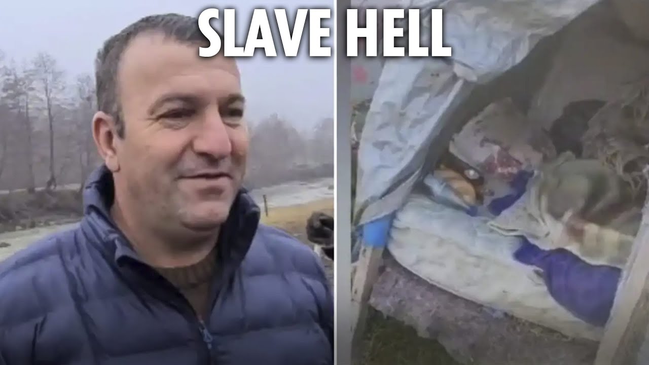 Moment cops bust sick &lsquo;slave ring&rsquo; where farm boss kept trafficked victims like animals