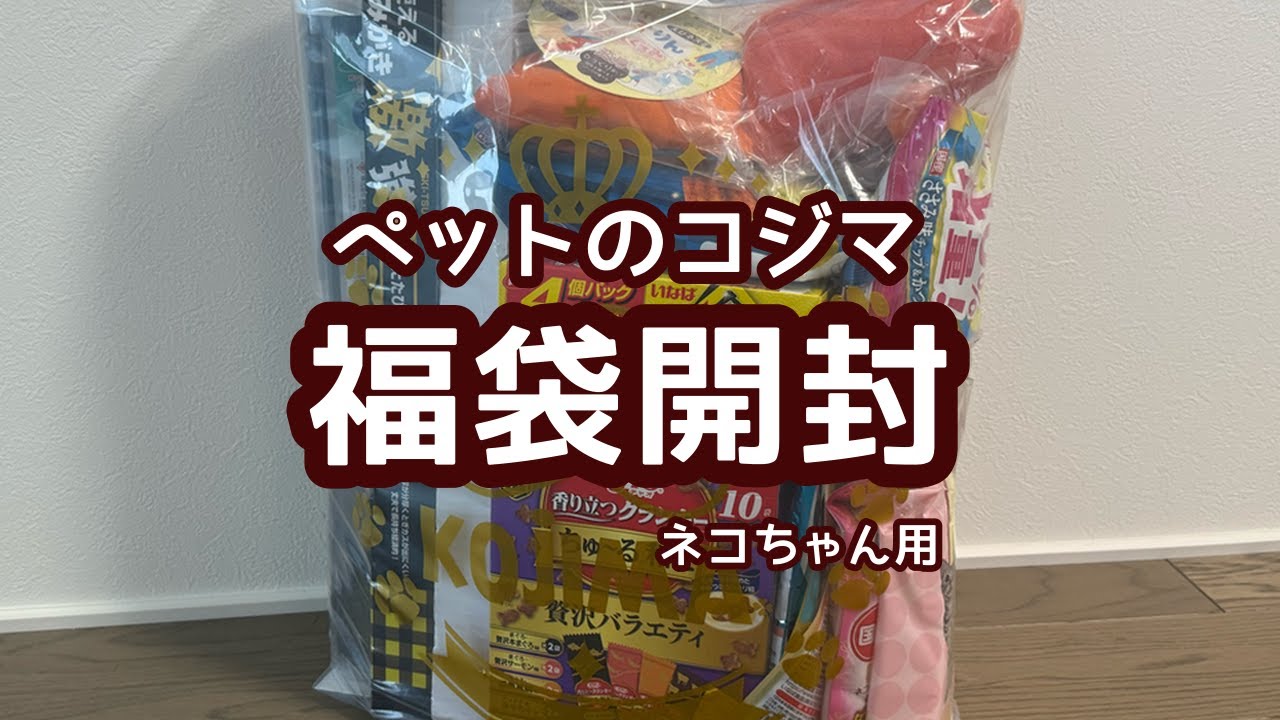 【噂の】ペットのコジマ　福袋をゲットしました【大当たり】