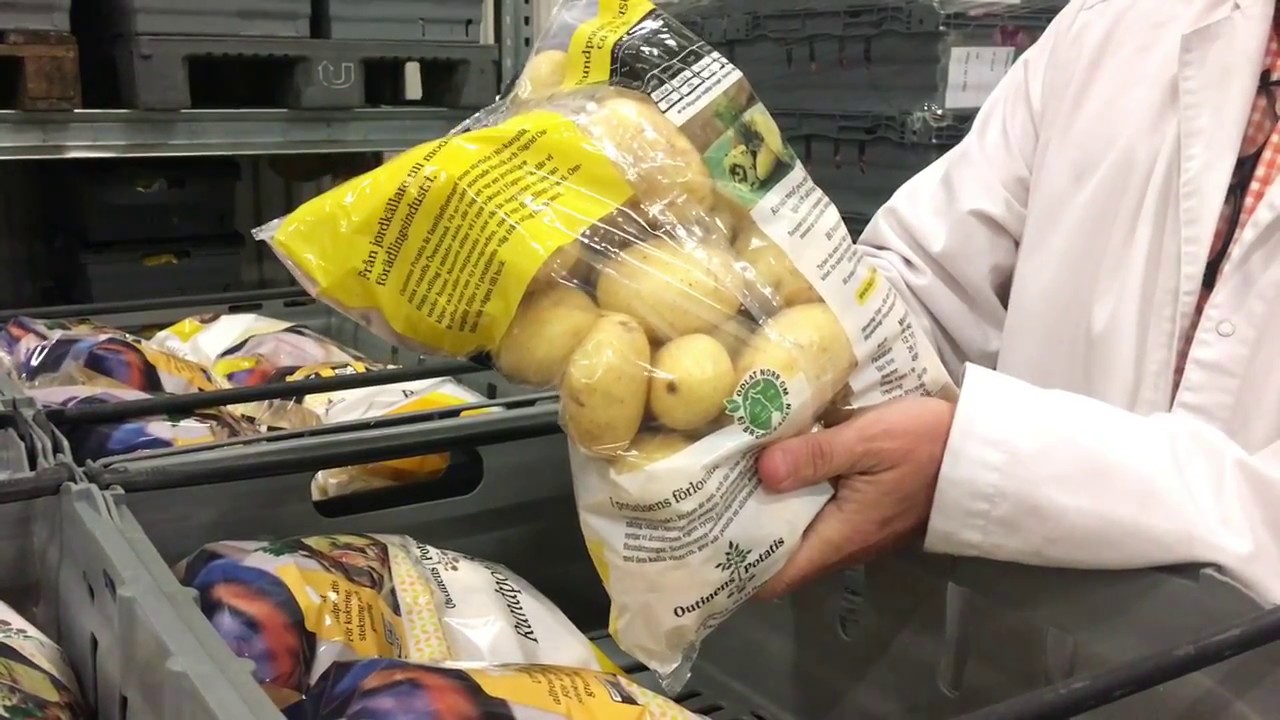 Fr&aring;n potatisodling i &Ouml;vertorne&aring; till f&ouml;r&auml;dling i Haparanda