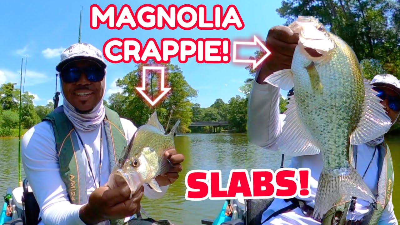 AMAZING Day of Crappie Fishing Catching SLABS at Luce Bayou | Kayak Fishing Lake Houston