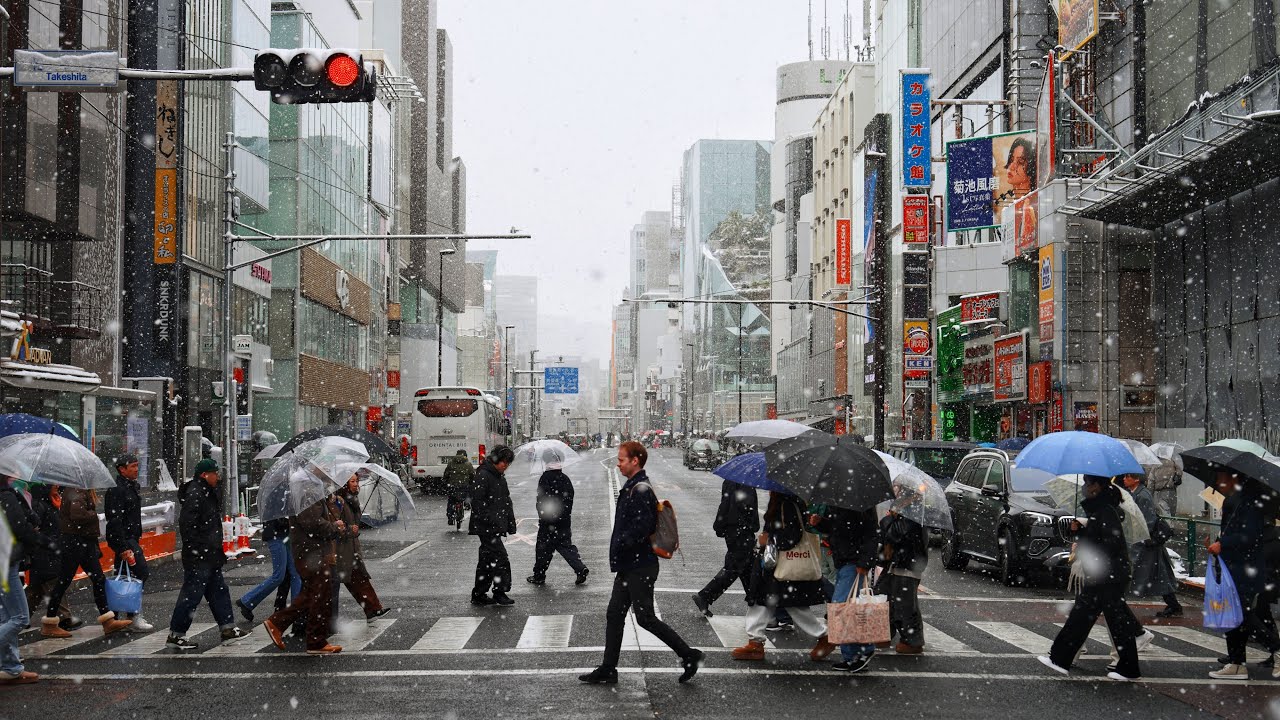Tokyo Snow - Live Walk