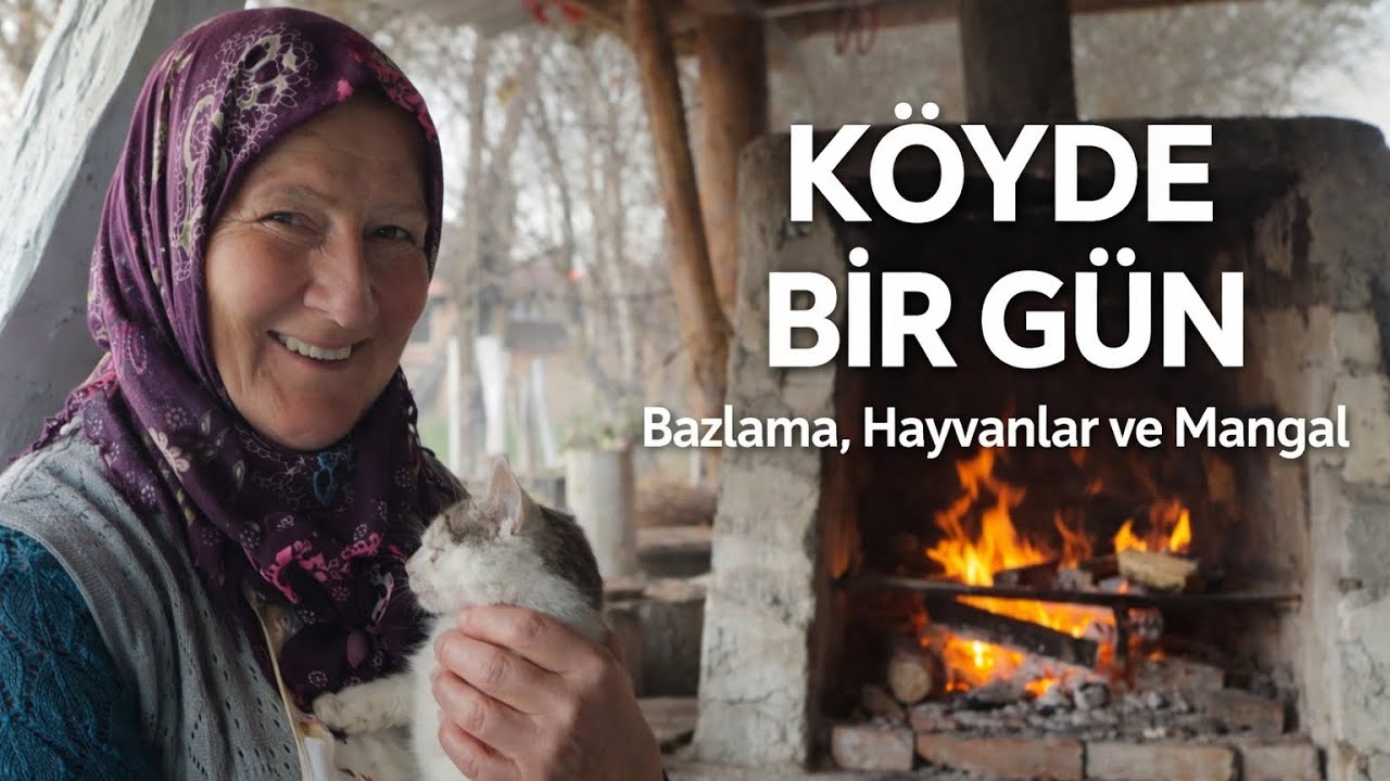 Kastamonu Köyünde Bir Gün | Ameliyatlı Köpeğimiz, Bazlama ve Mangal  #kökvetoprak #köyhayatı