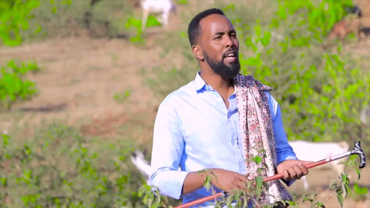 ALI DHAANTO- DHAANTO CUSUB- HAMDA- DHAANTO CUSUB-NEW VIDEO ALI DHAANTO 2021 DHAANTO HAMDA