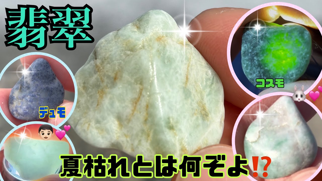 【翡翠】夏枯れとは何ぞよ⁉️コスモに💚デュモに💙レア鉱物も取れたよ〜♬翡翠は透過が良き💎✨👴🏻‪‪🍵