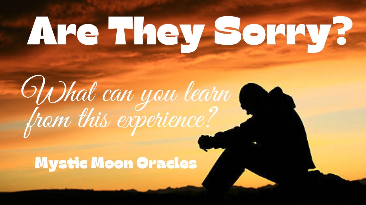 ARE THEY SORRY FOR HURTING YOU? Soul Connections in NO CONTACT 💔 (Timeless Tarot Reading)