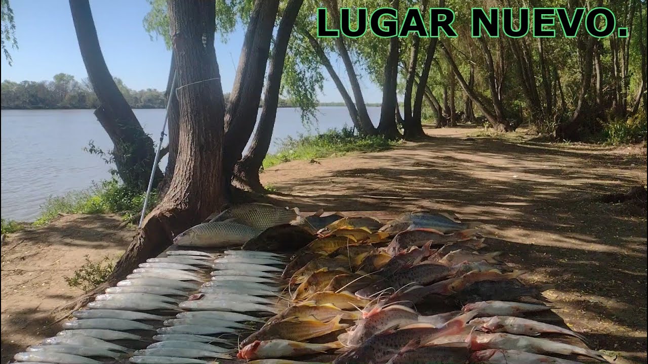SIN PALABRAS...PESQUERO EL CHUZA...RIO EL DORADO..