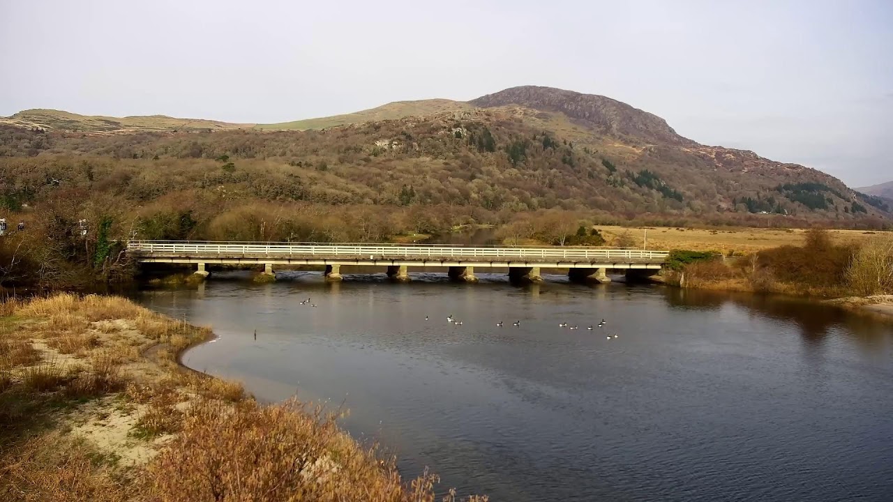 Bywyd Gwyllt Glaslyn Wildlife - Ffrwd Byw / Live Stream 2