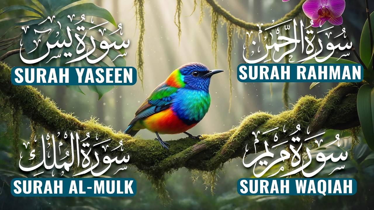 World's Most Beautiful Surah Yaseen, Surah Rahman, Surah Waqiah, Surah Mulk by Alaa Aqel - EP1
