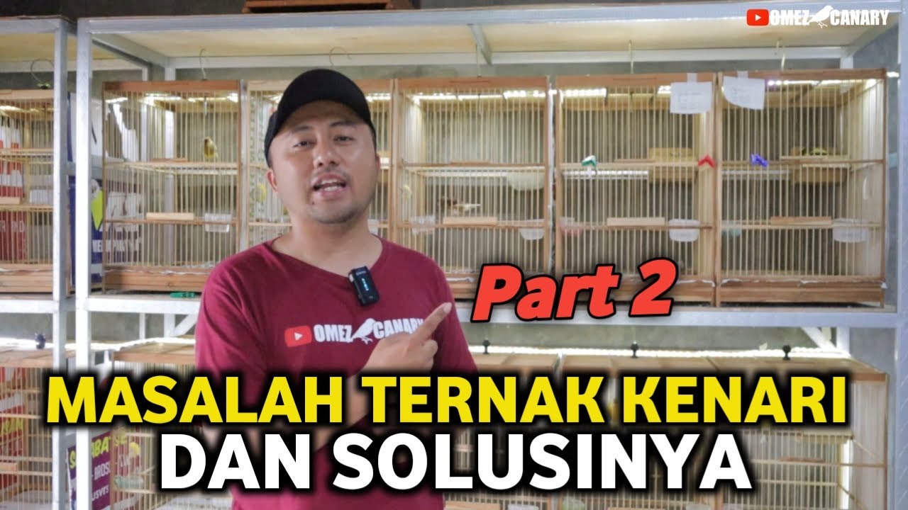 BERBAGAI MASALAH TERNAK & SOLUSINYA‼️Part 2 Pemula wajib tau