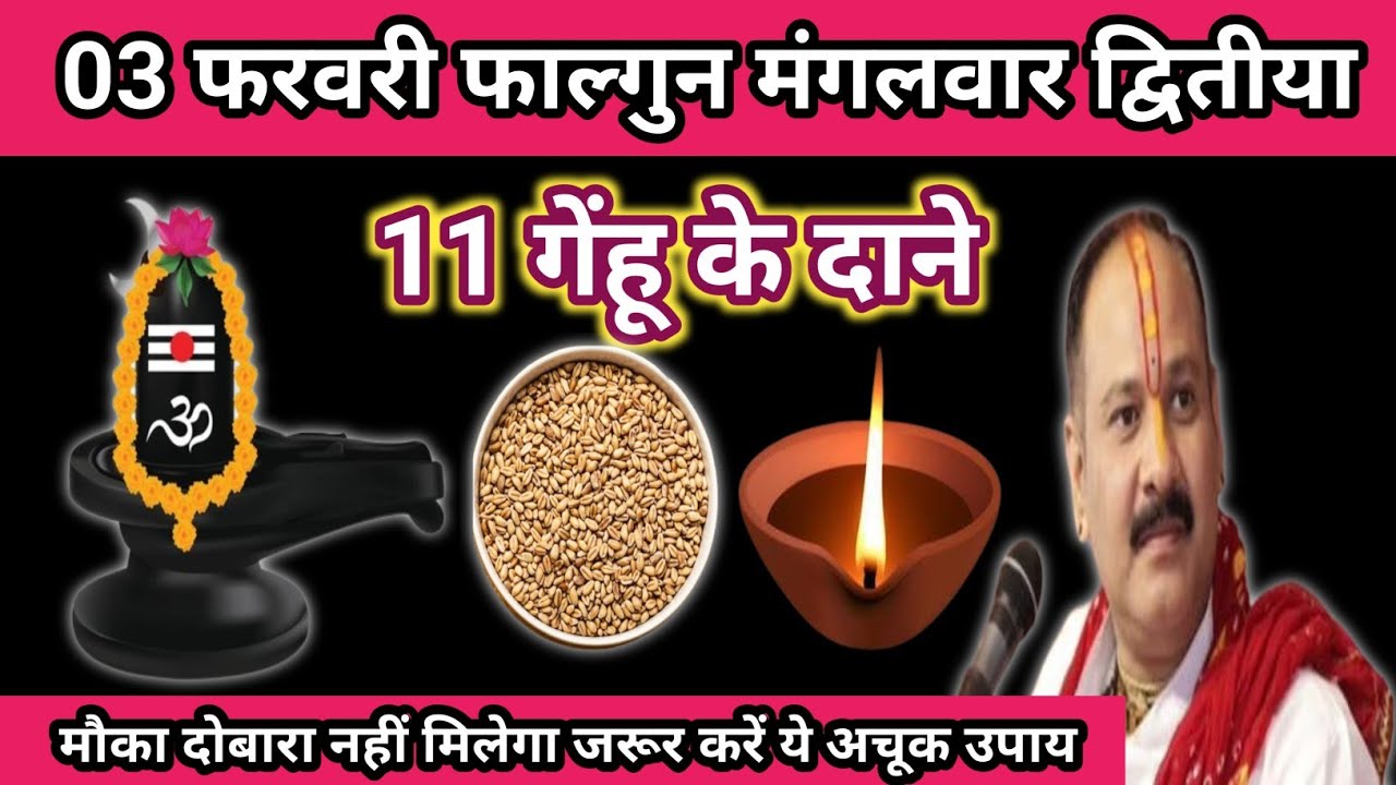 3 फरवरी फाल्गुन मंगलवार द्वितीया तिथि के दिन 11 गेंहू के दाने वाला उपाय जरुर करें|| Pandit pradeep