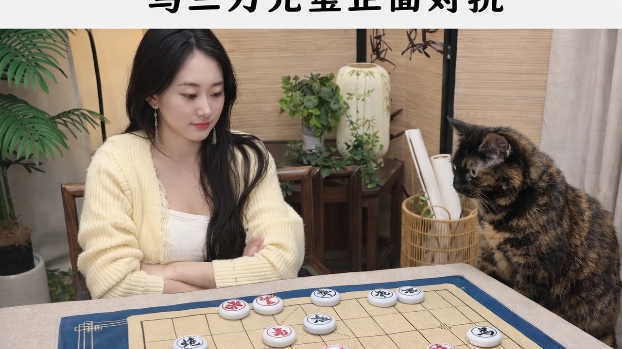 马三刀元宝正面对抗