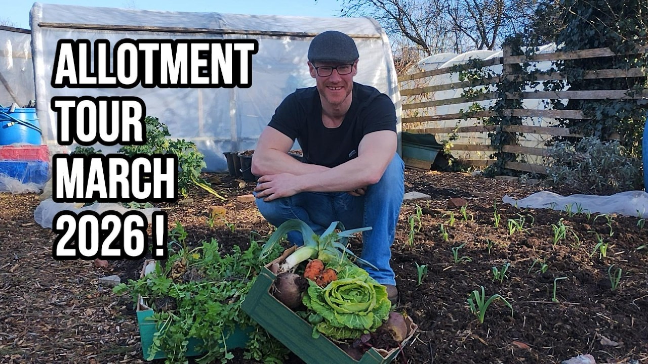 March #nodig allotment tour📅Final winter harvests, new sowings & perennials🌱