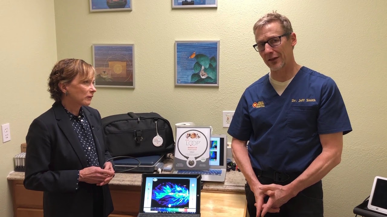 Solutions for Cat Pain: Score it. See it. Treat it.