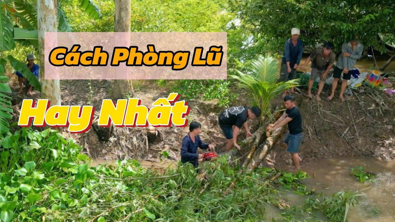 Mừng Khi Nước R&uacute;t Nhanh V&agrave; C&aacute;ch Khắc Phục Bờ Đ&ecirc; M&ugrave;a Nước Lũ | Cuộc Sống Ở C&ugrave; Lao Gi&oacute; T239