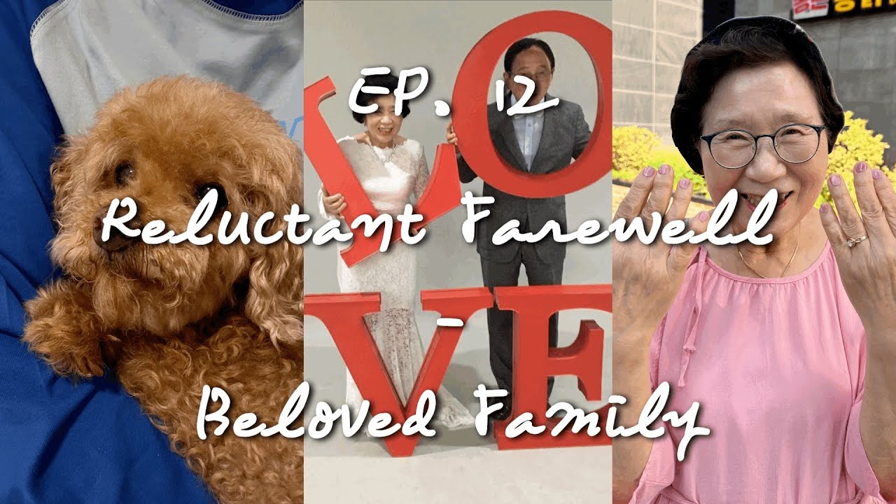 eng)[EP.12] 아쉬움 가득한 한국에서의 마지막 일상 - 서울레이스를 곁들인 || Reluctant Farewell - Beloved Family