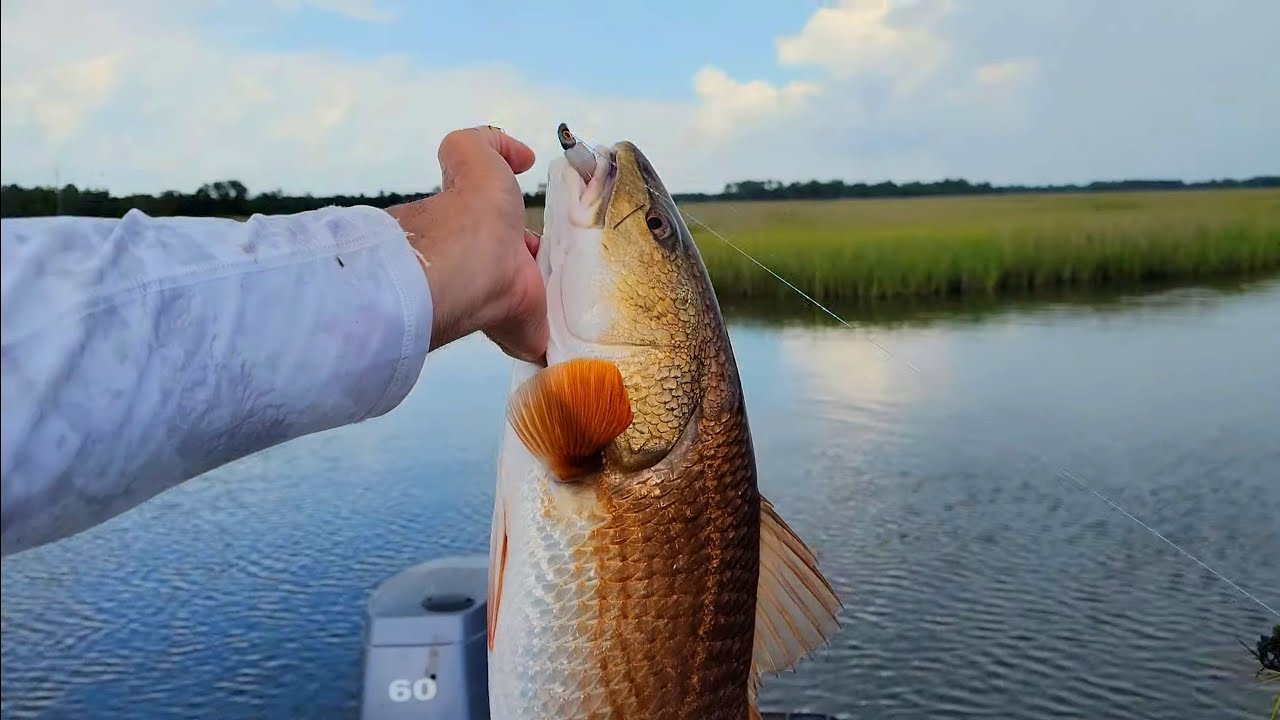 Catching beautiful redfish in the Mississippi marsh!