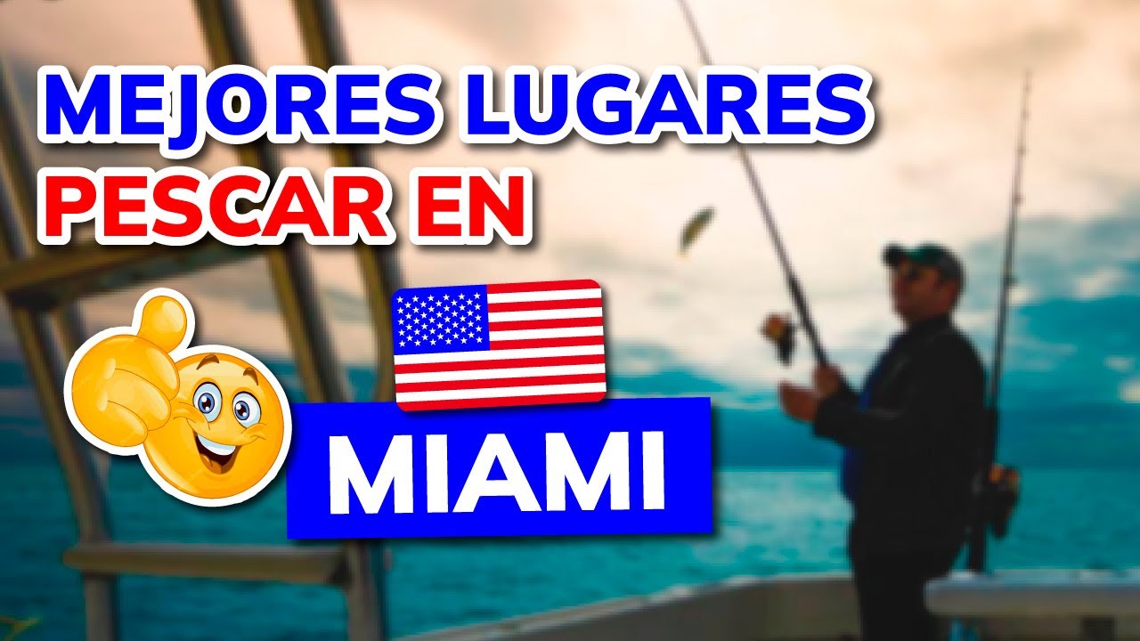 🥇 Mejores Lugares para PESCAR en MIAMI (Estados Unidos)